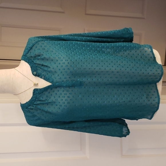 Banana Republic Teal Sheer Top - Picture 1 of 12
